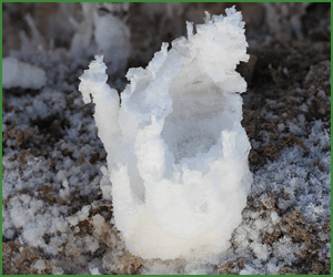 天然岩塩の選び方と活用方法