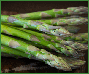 旬の食材と季節に適した調理法