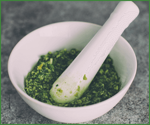 マクロビと医食同源