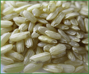 ～一物全体～食材全て頂く感覚を大切に