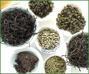 ～陰陽調和～バランスの良い食事が大切