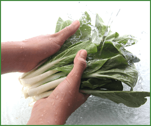 ミネラル・ビタミン摂取量をベースにレシピを組もう