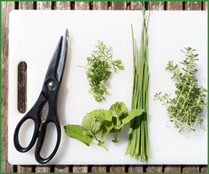 精製された食材を避けるのもマクロビ