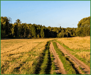 ～身土不二～人と自然は運命共同体